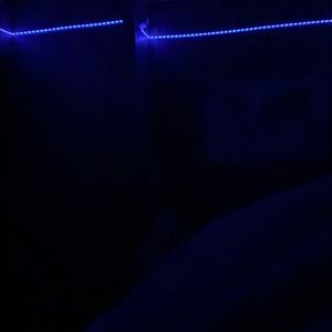 Meet your Posher, Lucy